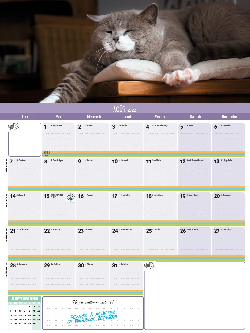 Frigobloc Mensuel Chats 2023 calendrier aimanté famille