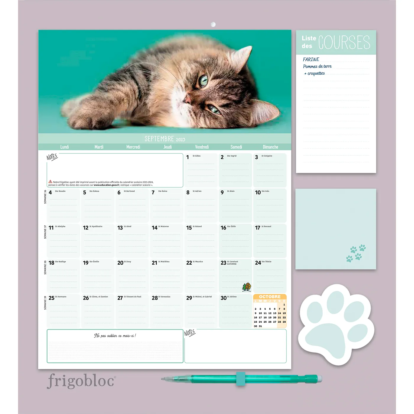 Frigobloc Mensuel 2024 calendrier familial Chats aimanté 16 mois