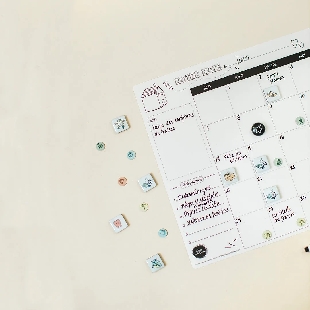 Les Belles Combines Mini Magnets aimants 132 pictogrammes famille