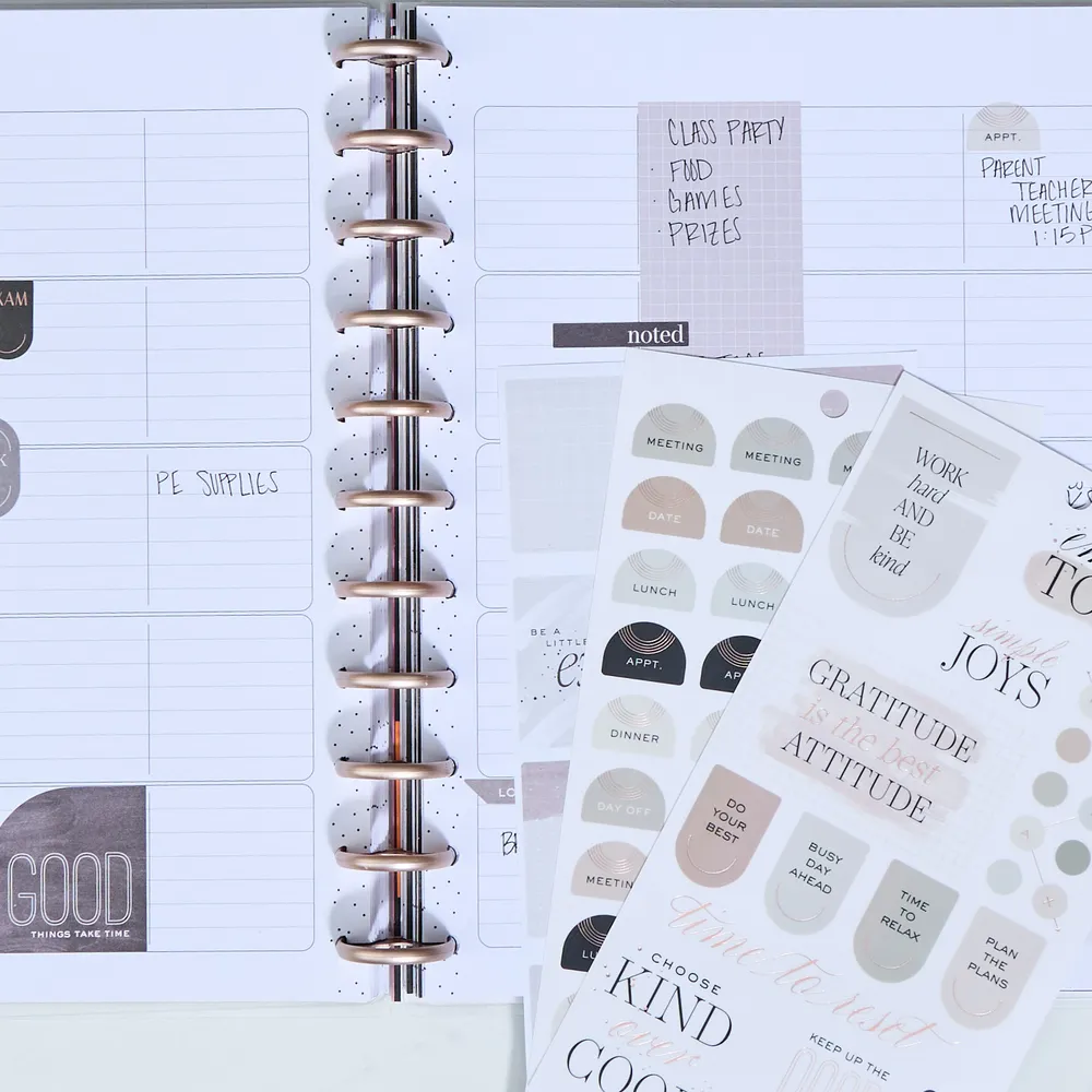 Happy Planner Aesthetique Teacher stickers Big 617 prof