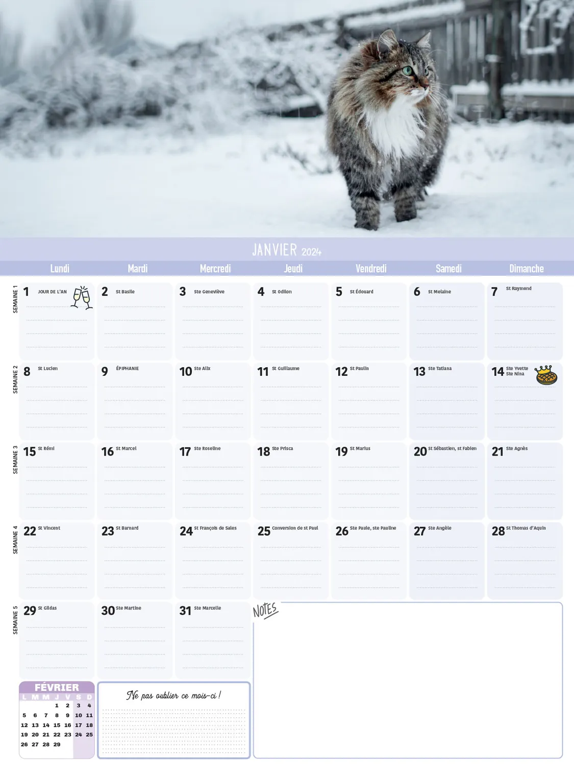 Frigobloc Mensuel 2024 calendrier familial Chats aimanté 16 mois