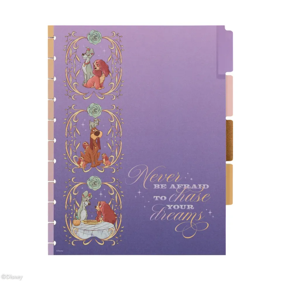 Happy Planner Disney Lady Tramp extension planner Big 4 mois