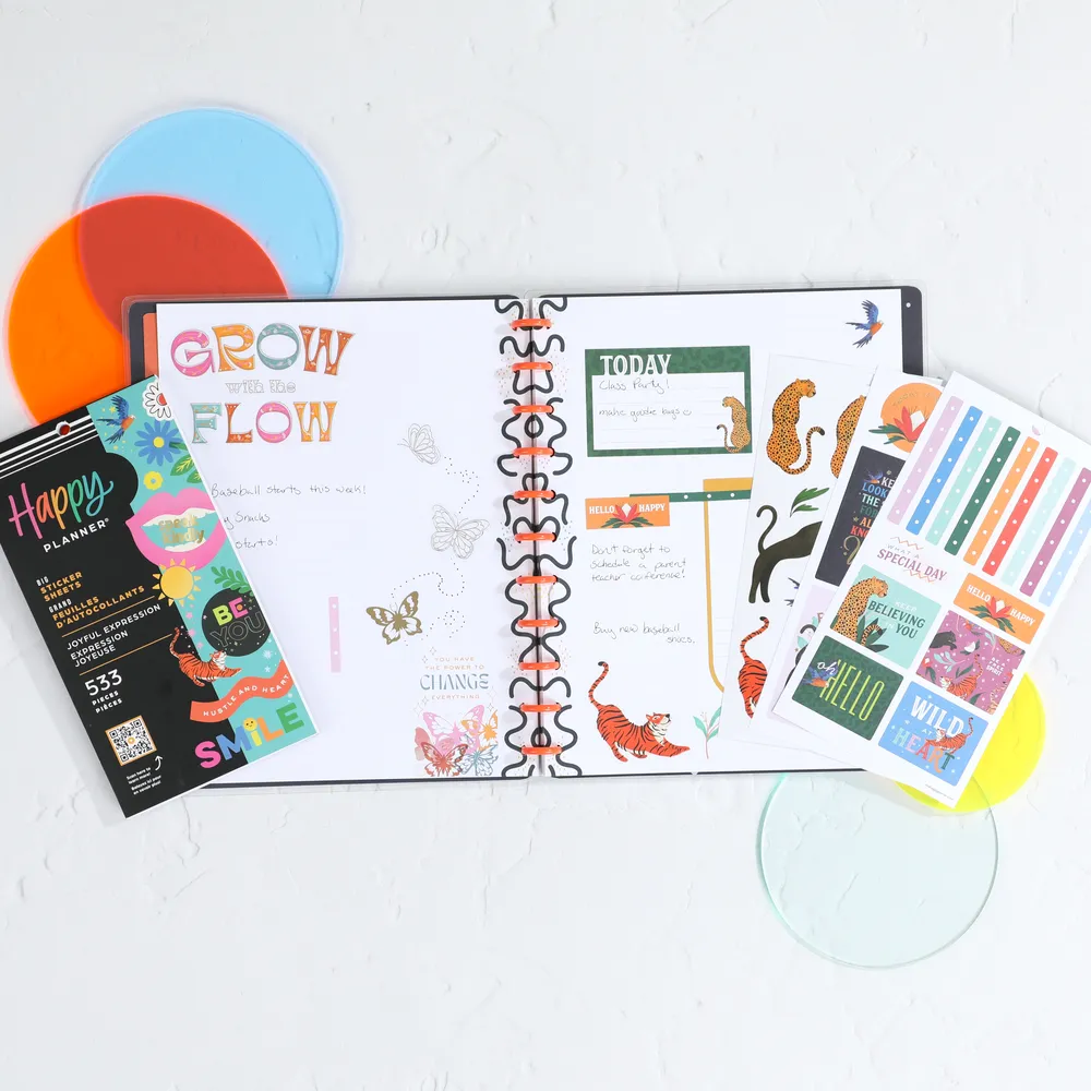 Happy Planner Joyful Expression stickers Big 530 couleur