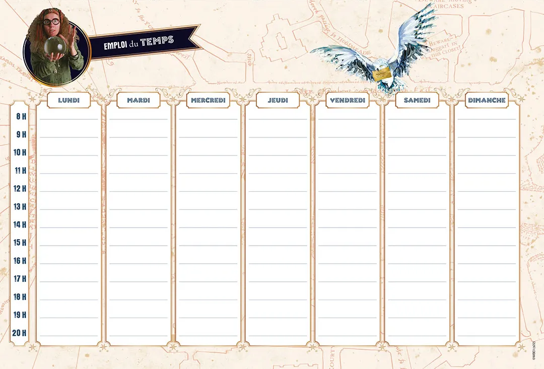 Frigobloc Harry Potter Mon calendrier organiseur 2023-2024 calendrier 16 mois