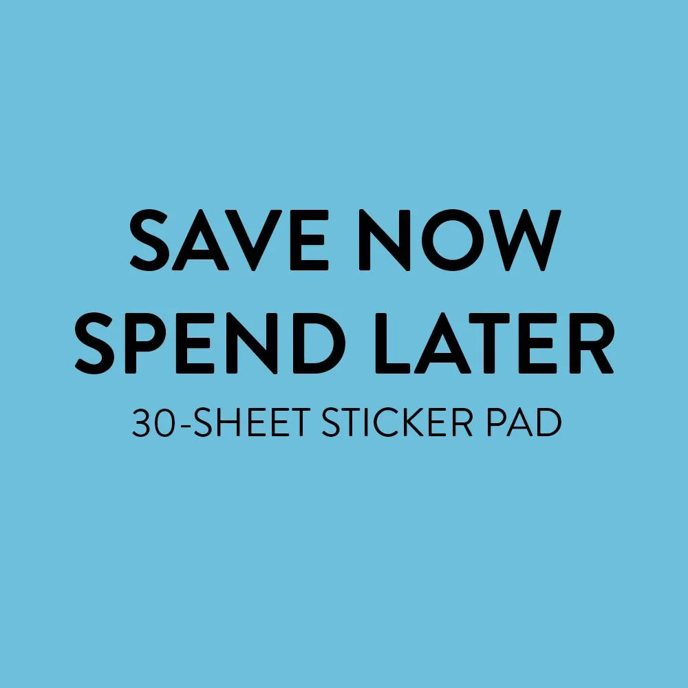 Happy Planner Value Pack Save Now Spend Later stickers budget