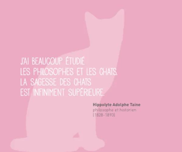 Frigobloc Chats 2021 calendrier familial aimanté 16 mois