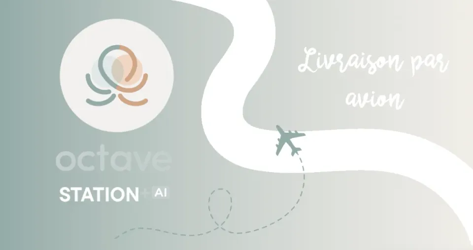 Les Belles Combines Livraison station par avion option accélérée