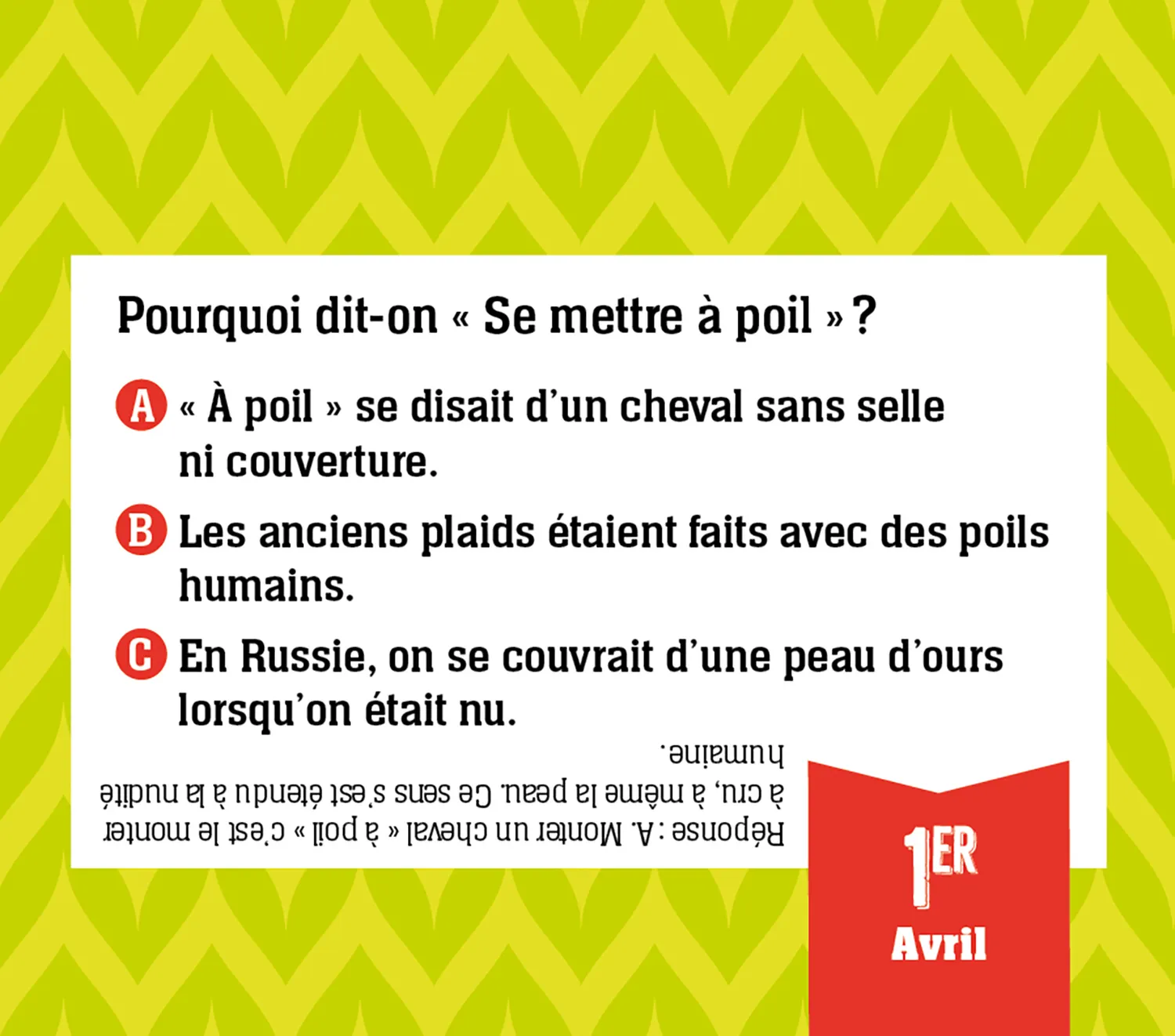 Frigobloc Pourquoi dit-on ? calendrier quiz chevalet 365 jours