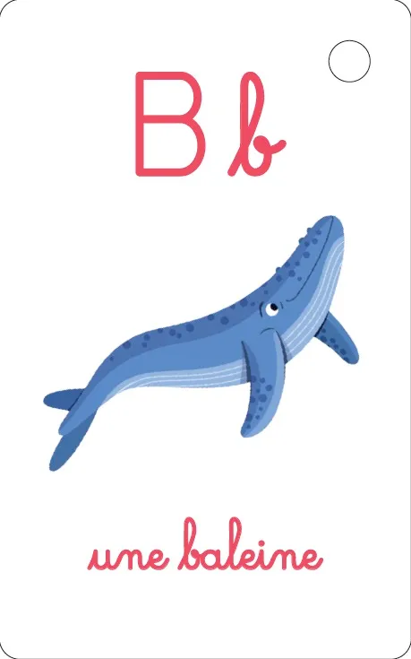 Les Incollables Montessori Éventail lettres rugueuses cartes cursives