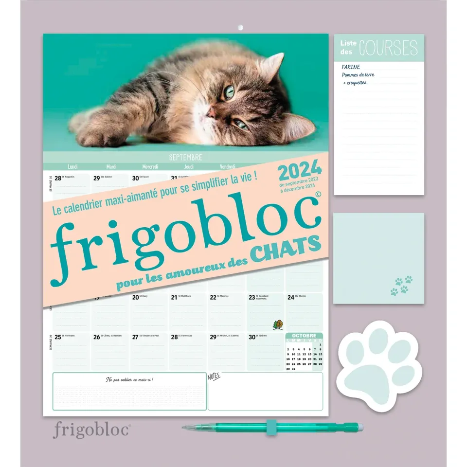 Frigobloc Mensuel 2024 calendrier familial Chats aimanté 16 mois