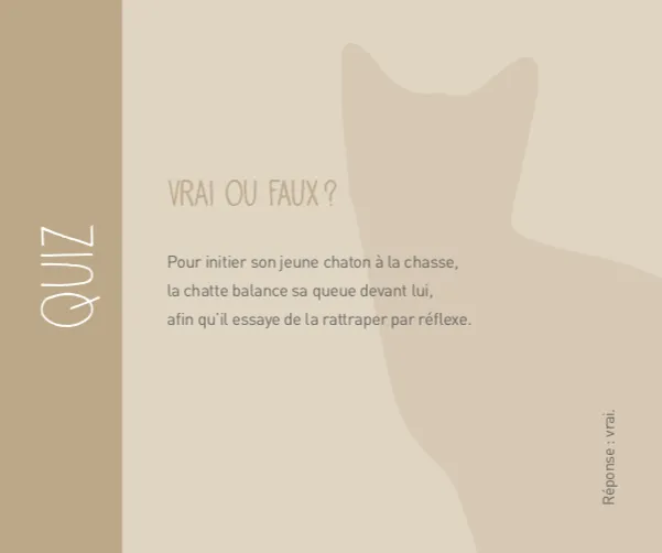 Frigobloc Chats 2021 calendrier familial aimanté 16 mois