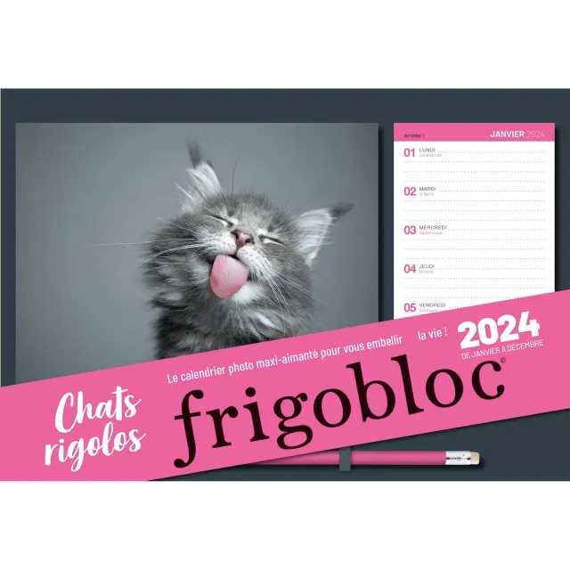 Frigobloc Chats rigolos calendrier familial 2024 photos