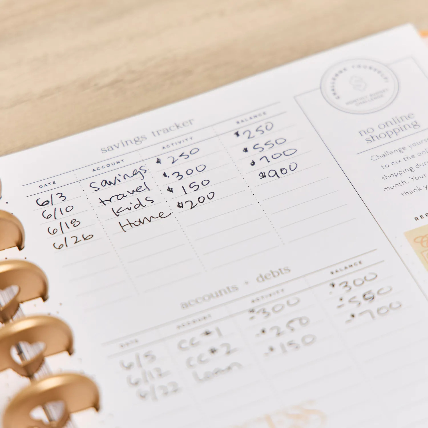 Happy Planner 2026 Canvas agenda budget Classic 12 mois