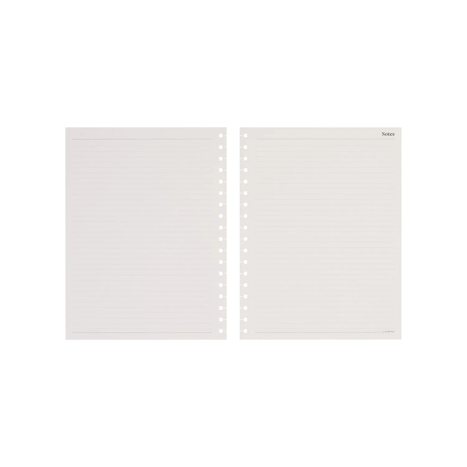 Citrine Classic papier recharge spiral pointillé 40 feuilles
