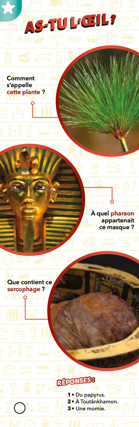 Frigobloc Les Incollables éventail Passion Égypte quiz