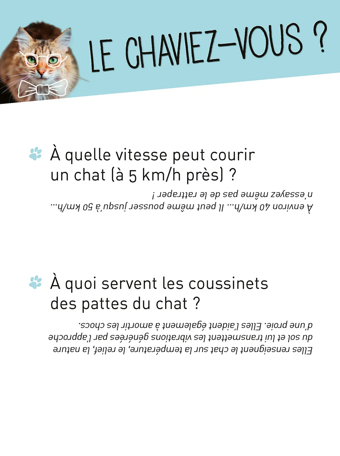 Frigobloc Donne ta langue au Chat boîte quiz 350 questions