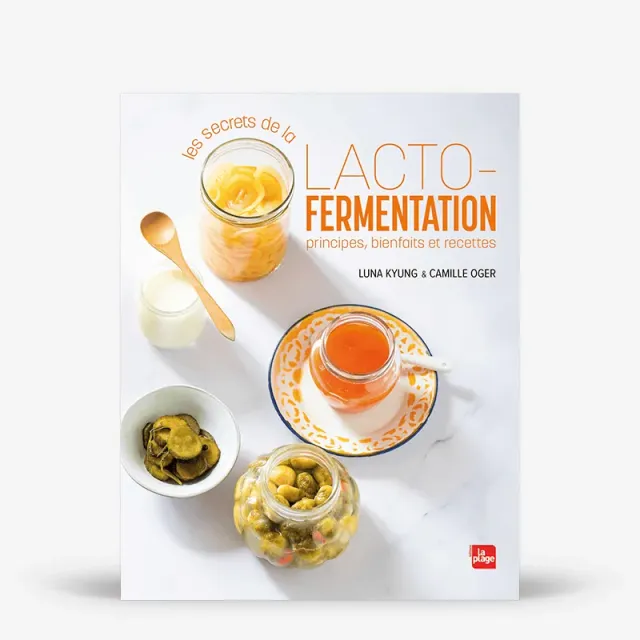 My365 Secrets lacto-fermentation livre guide cuisine