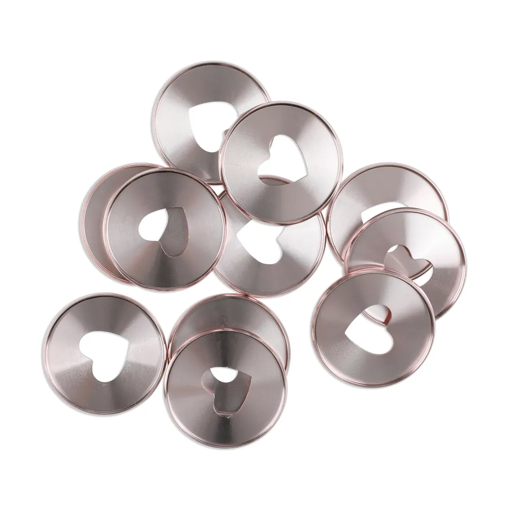 Happy Planner Expander disques metal rose gold x11 grand