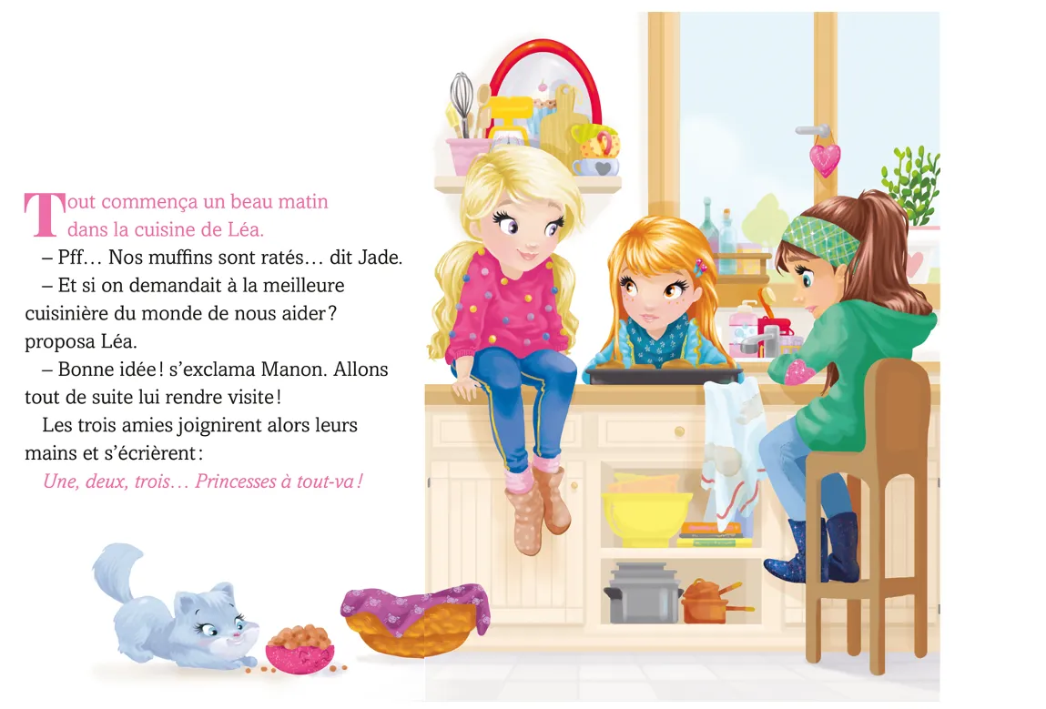 Frigobloc Une deux trois Princesses roman tome 8 anniversaire