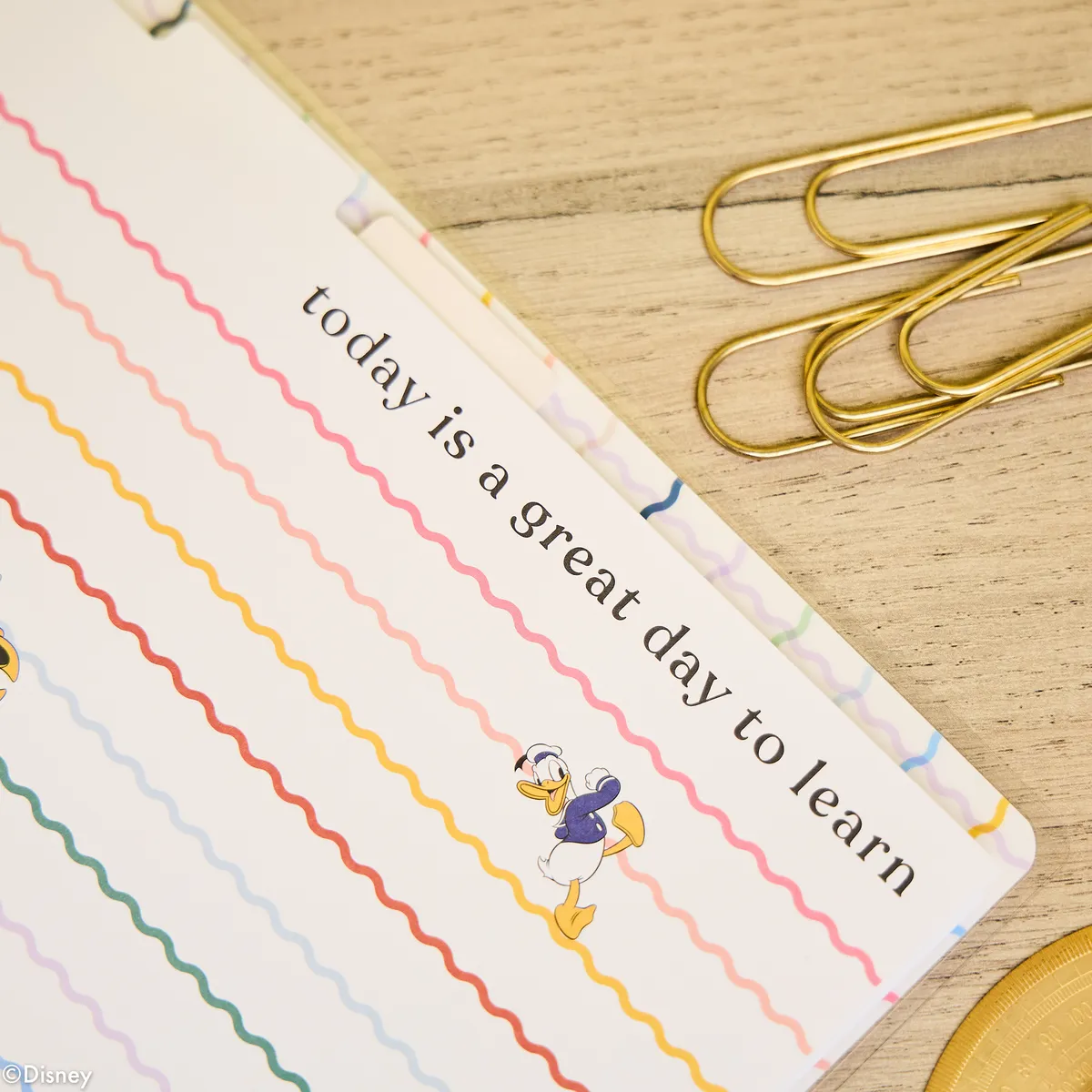 Happy Planner Disney Mickey carnet disques big ligné 60