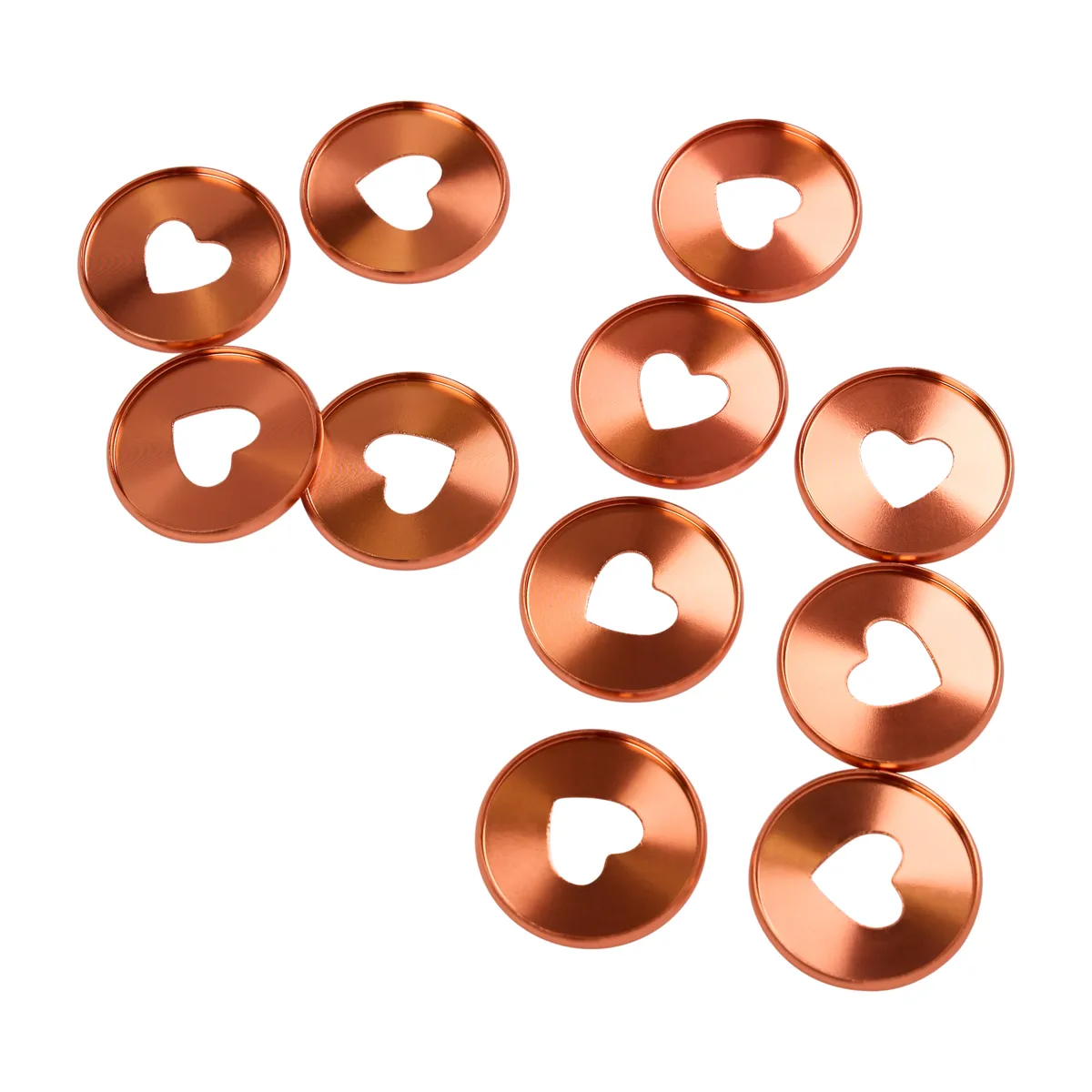 Happy Planner Coral disques métal expander corail x11