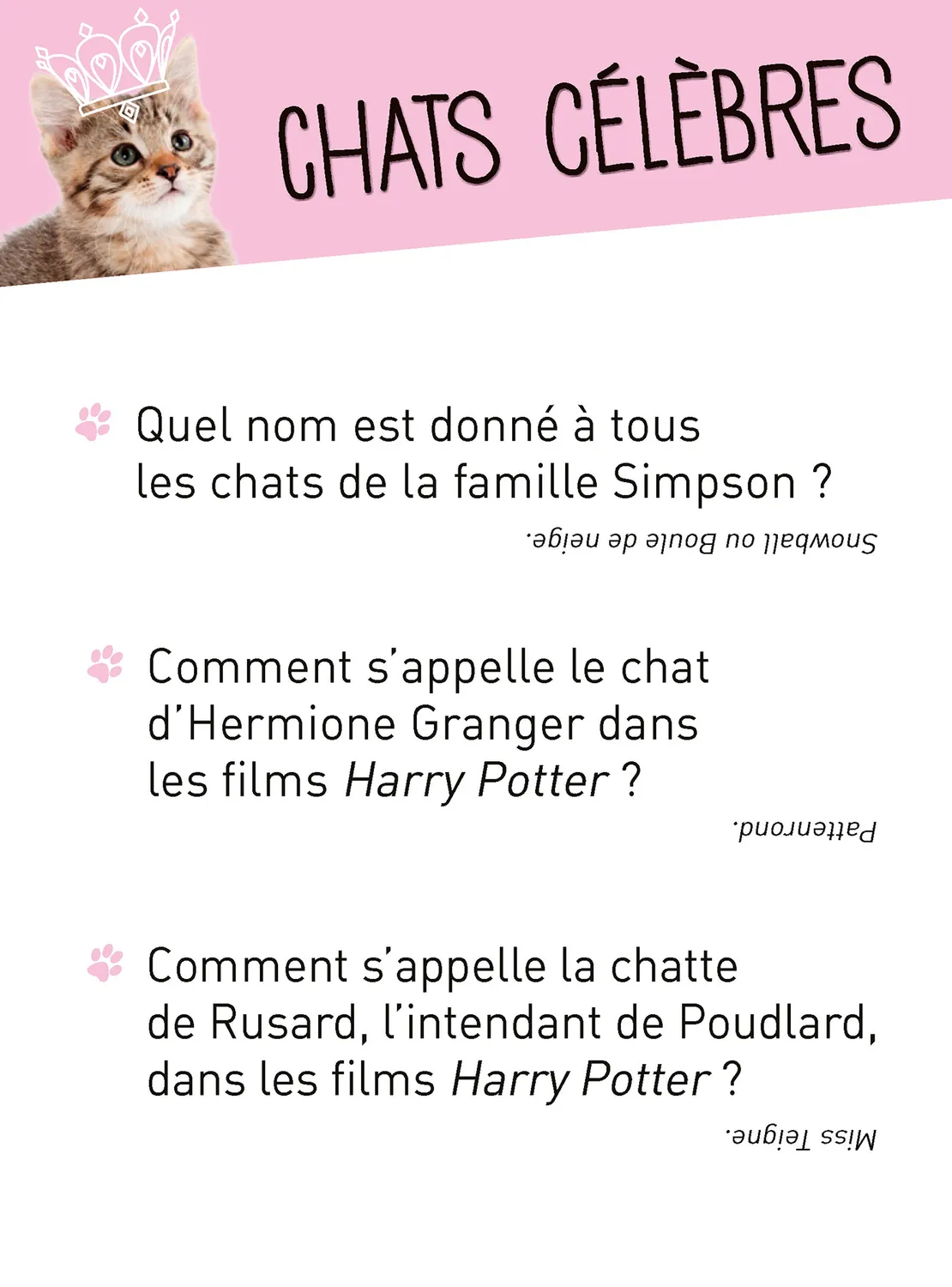 Frigobloc Donne ta langue au Chat boîte quiz 350 questions