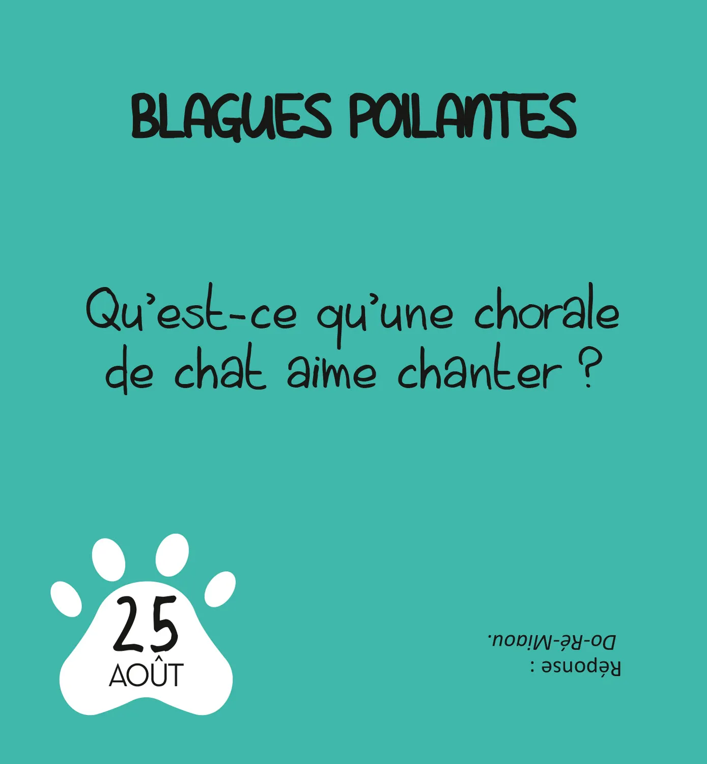 Frigobloc LOL Cats mini calendrier 365 jours chats