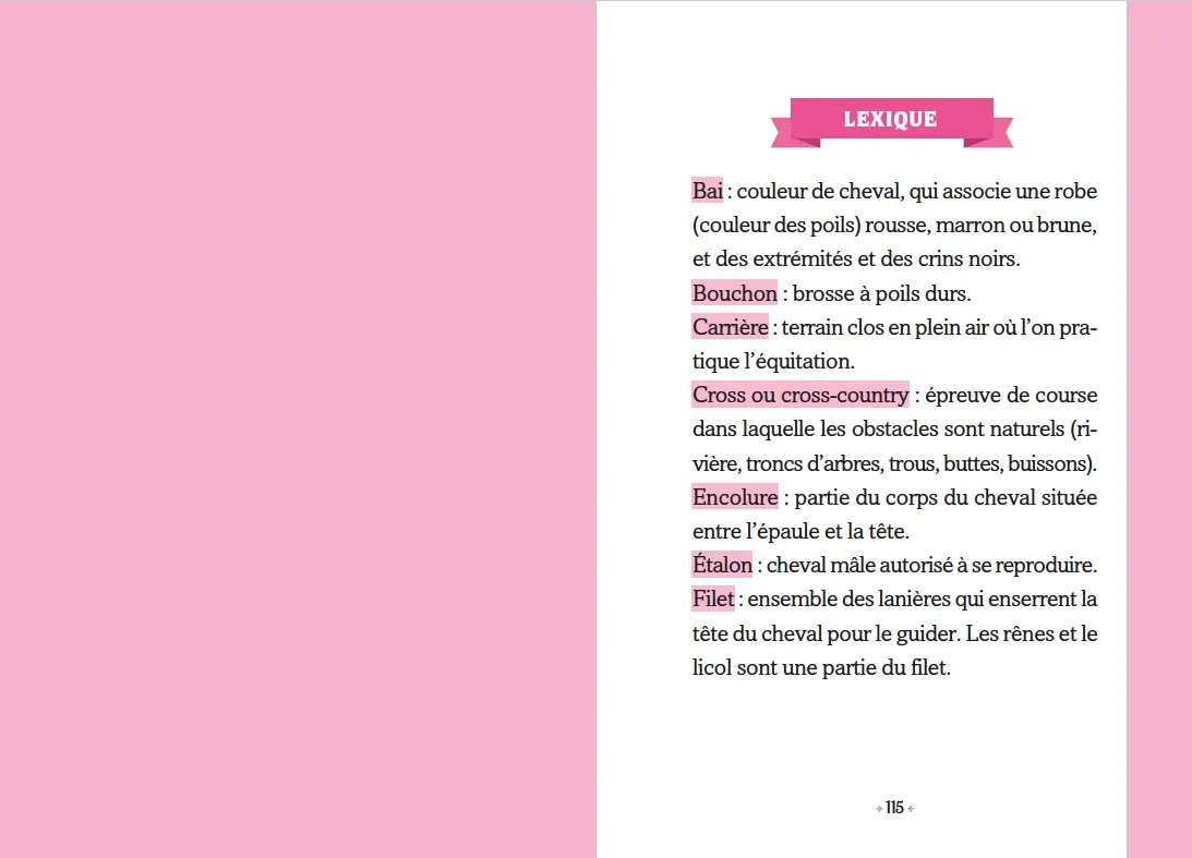 Frigobloc Le Galop des Etoiles Tome 1 roman cheval 8 ans
