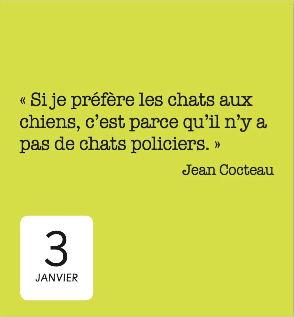 Frigobloc 365 jours avec les chats mini calendrier annuel
