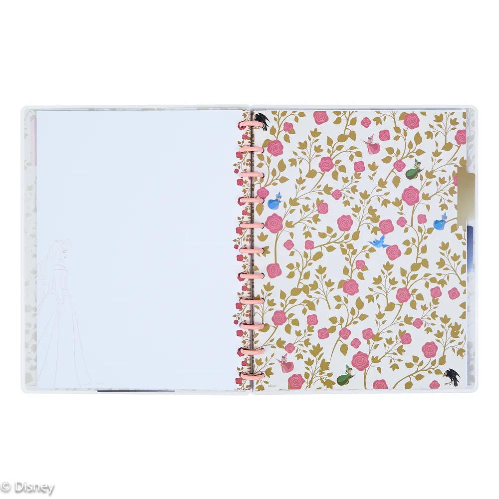 Happy Planner Disney Sleeping Beauty carnet pointillé Big 60 feuilles