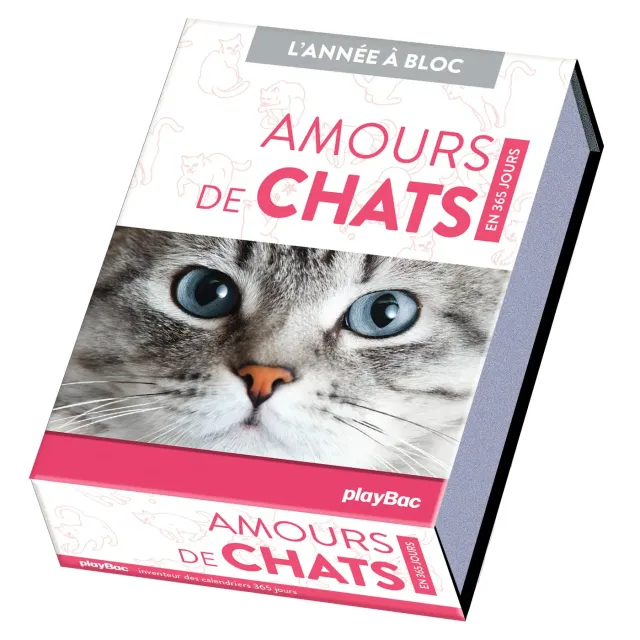 Frigobloc Amours de chats en 365 jours calendrier à bloc chats