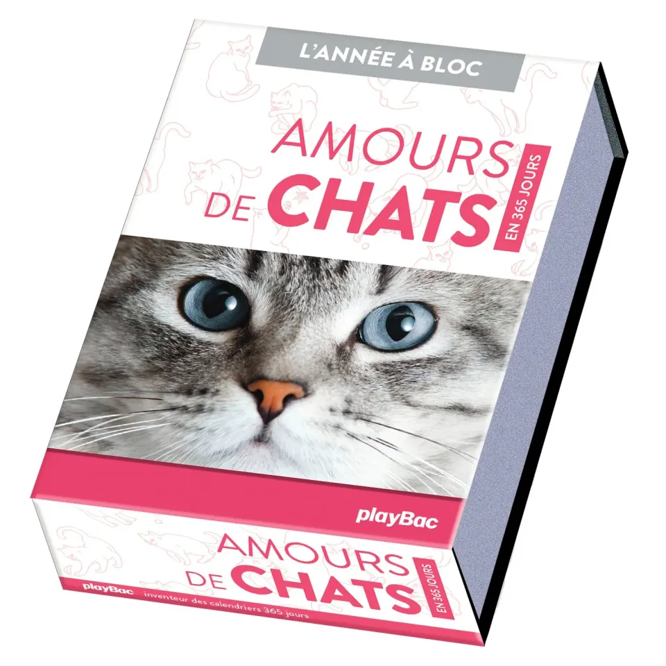 Frigobloc Amours de chats en 365 jours calendrier à bloc chats