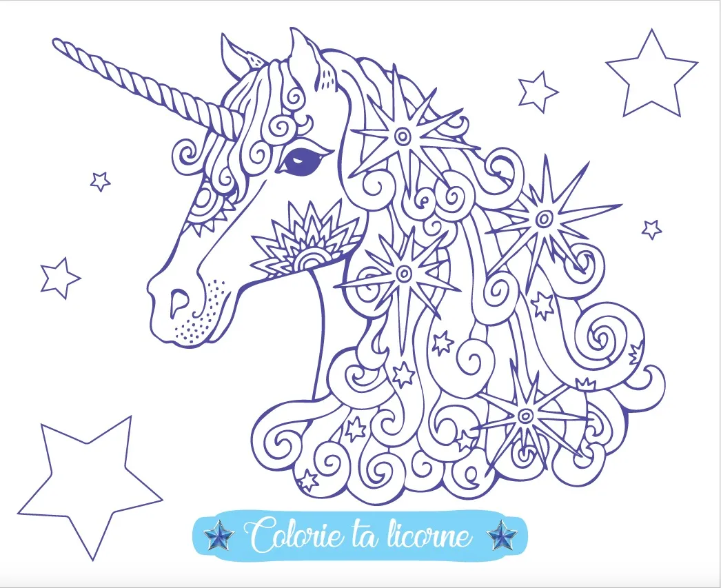 Frigobloc Licorne Style Névéa pochette créative glaces