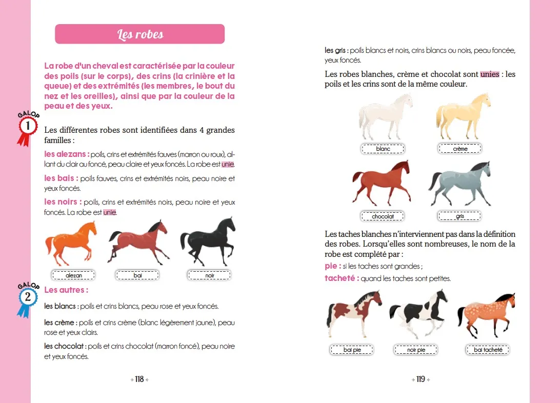 Frigobloc Le Galop des Etoiles Tome 1 roman cheval 8 ans