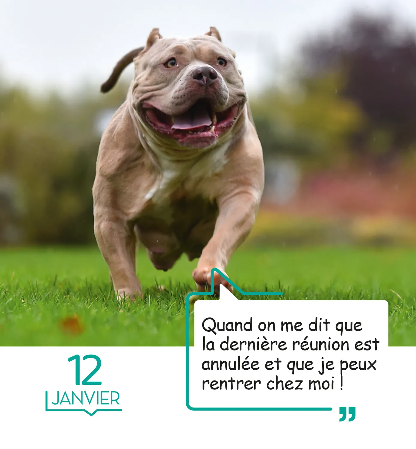 Frigobloc 365 mèmes hilarants mini calendrier humour