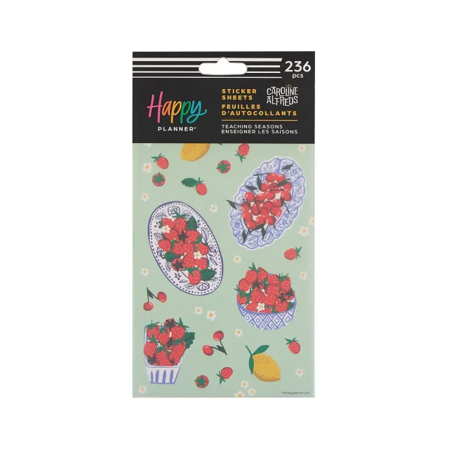 Happy Planner Teaching Seasons stickers 10 feuilles 236