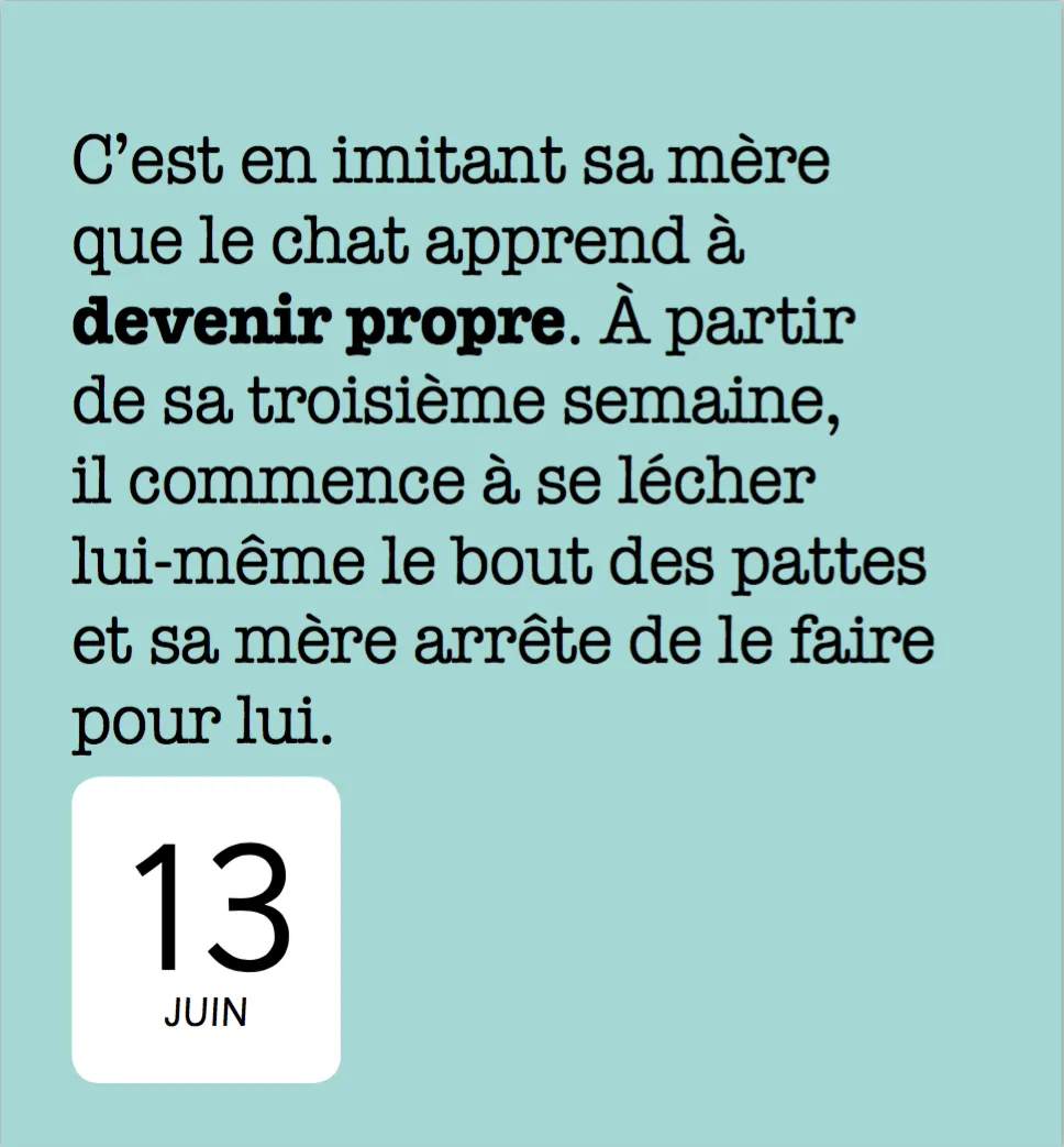 Frigobloc 365 jours avec les chats mini calendrier annuel