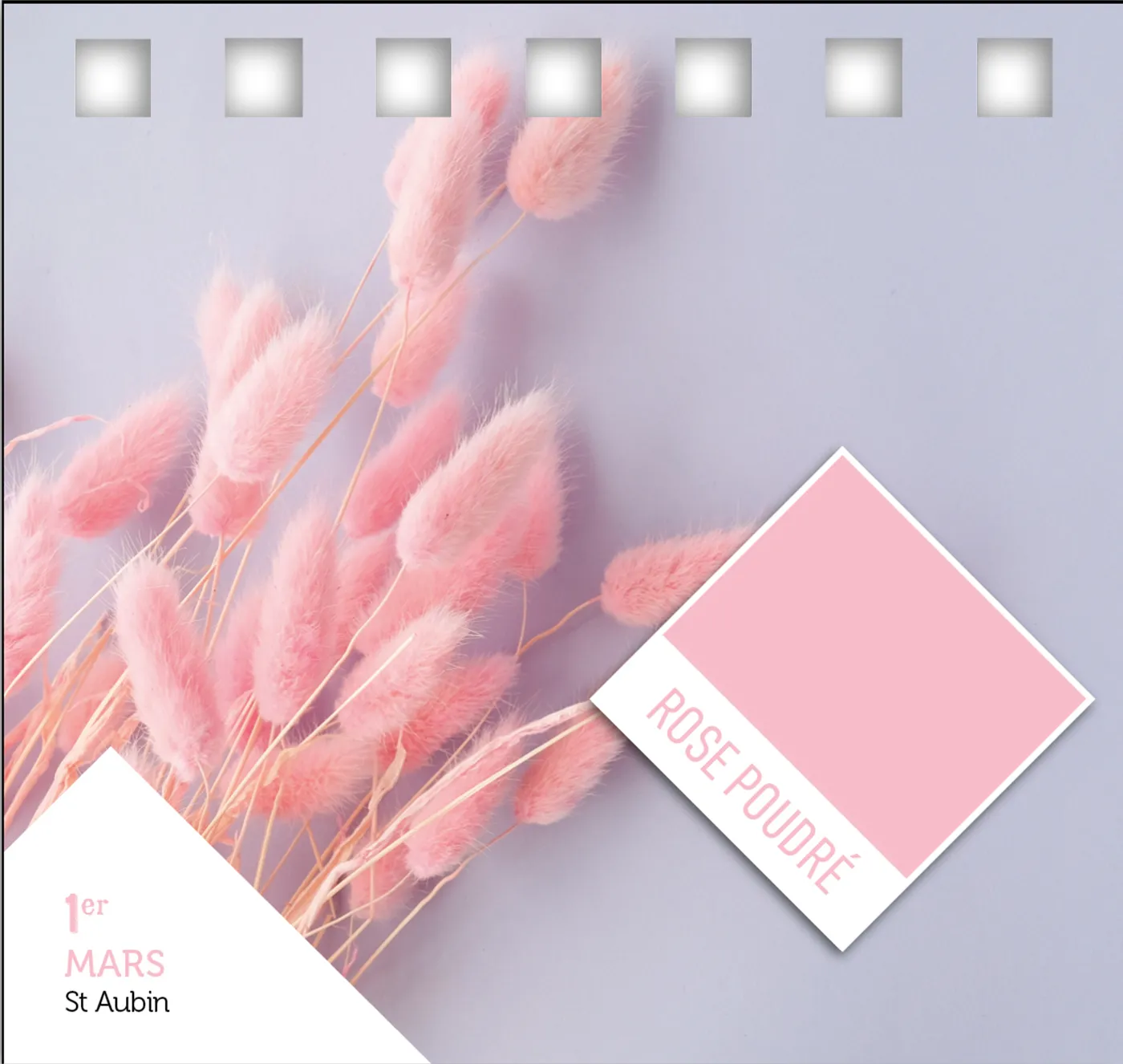 Frigobloc 365 jours calendrier rose citations
