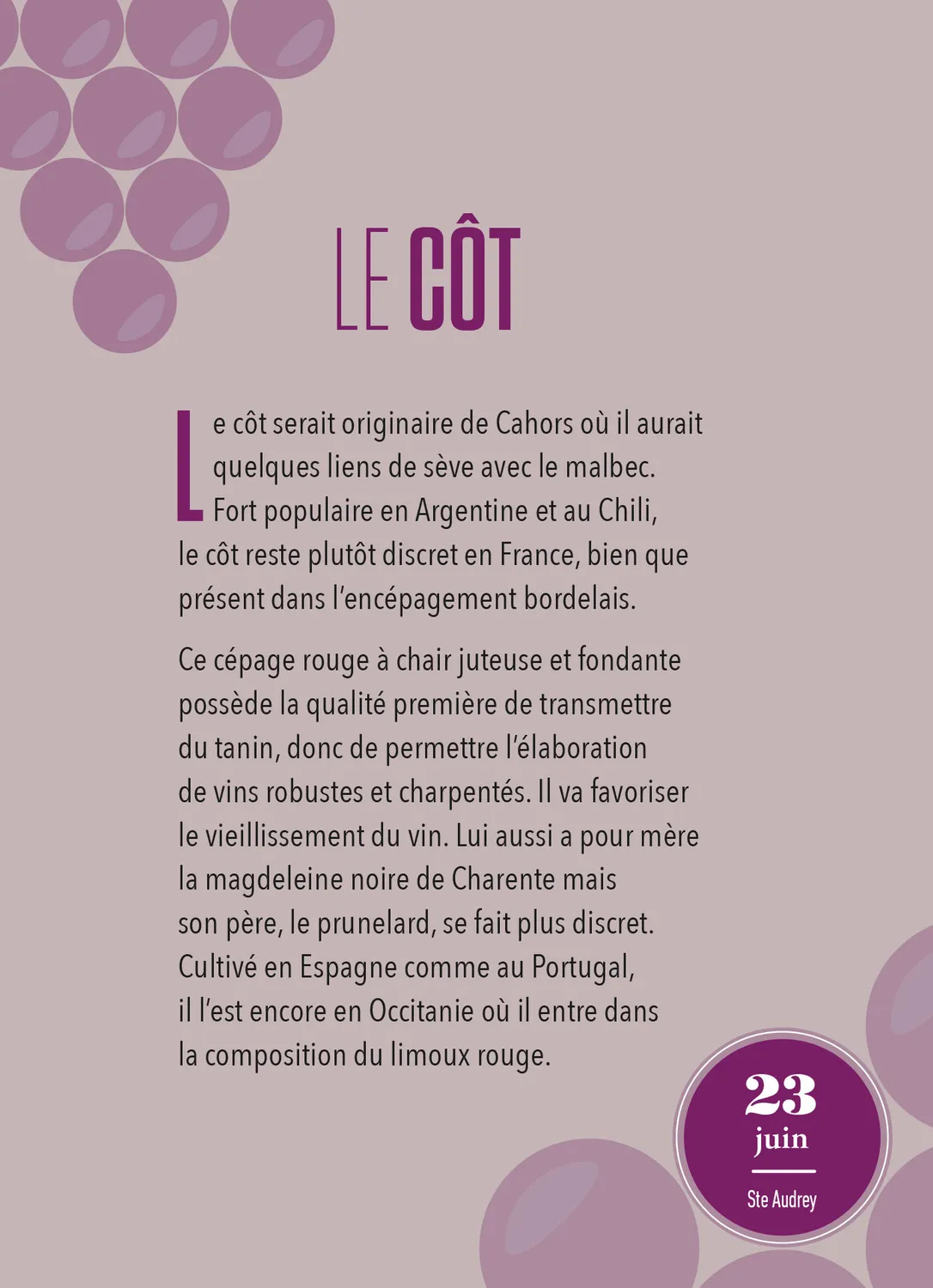 Frigobloc Amateur de vin 365 jours calendrier à bloc