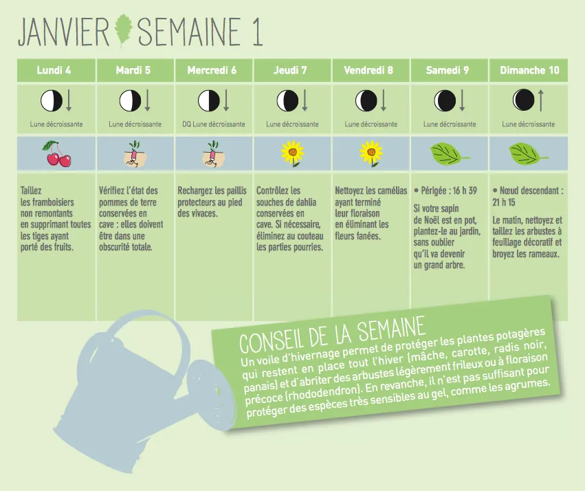 Frigobloc Jardiner avec la lune calendrier familial aimanté