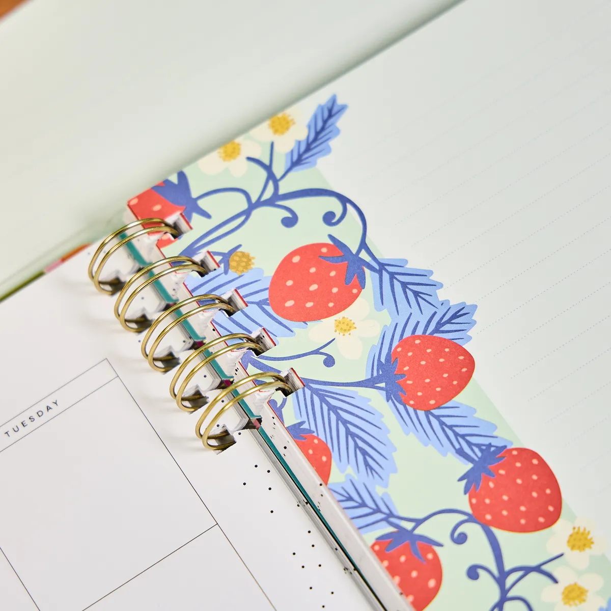 Happy Planner Teaching Seasons recharge spirale Big 40 feuilles