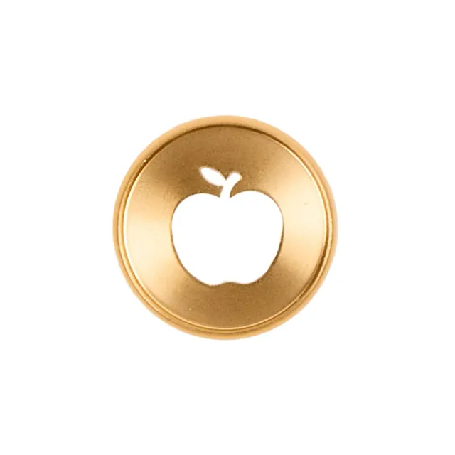 Happy Planner Gold Apple Cut Out disques métal M 11 pcs