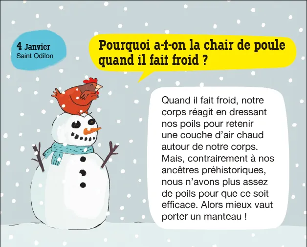 Frigobloc Incollables Pourquoi 365 questions calendrier chevalet