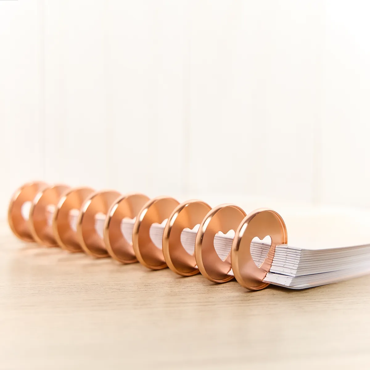 Happy Planner Rose Gold disques métal expander x11