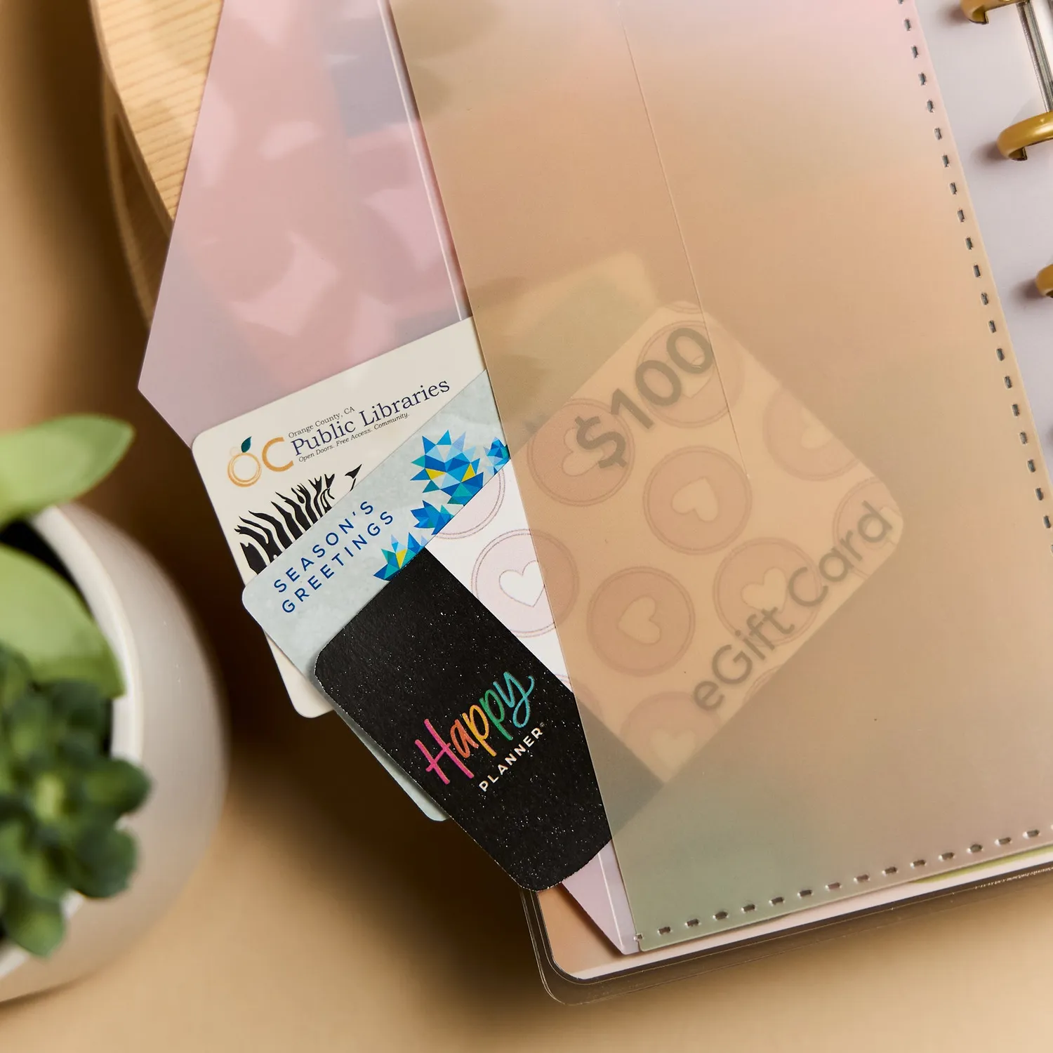 Happy Planner Savvy Budgeter carnet budget Skinny Classic