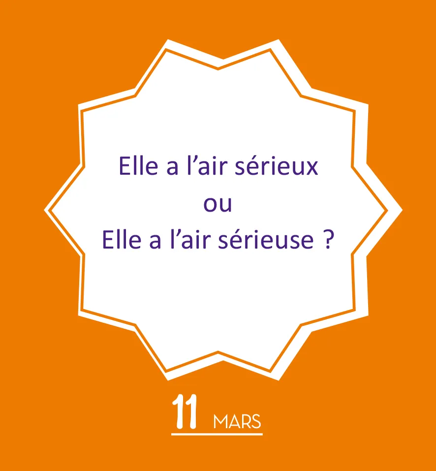 Frigobloc Mini 365 jours sans fautes mini calendrier orthographe