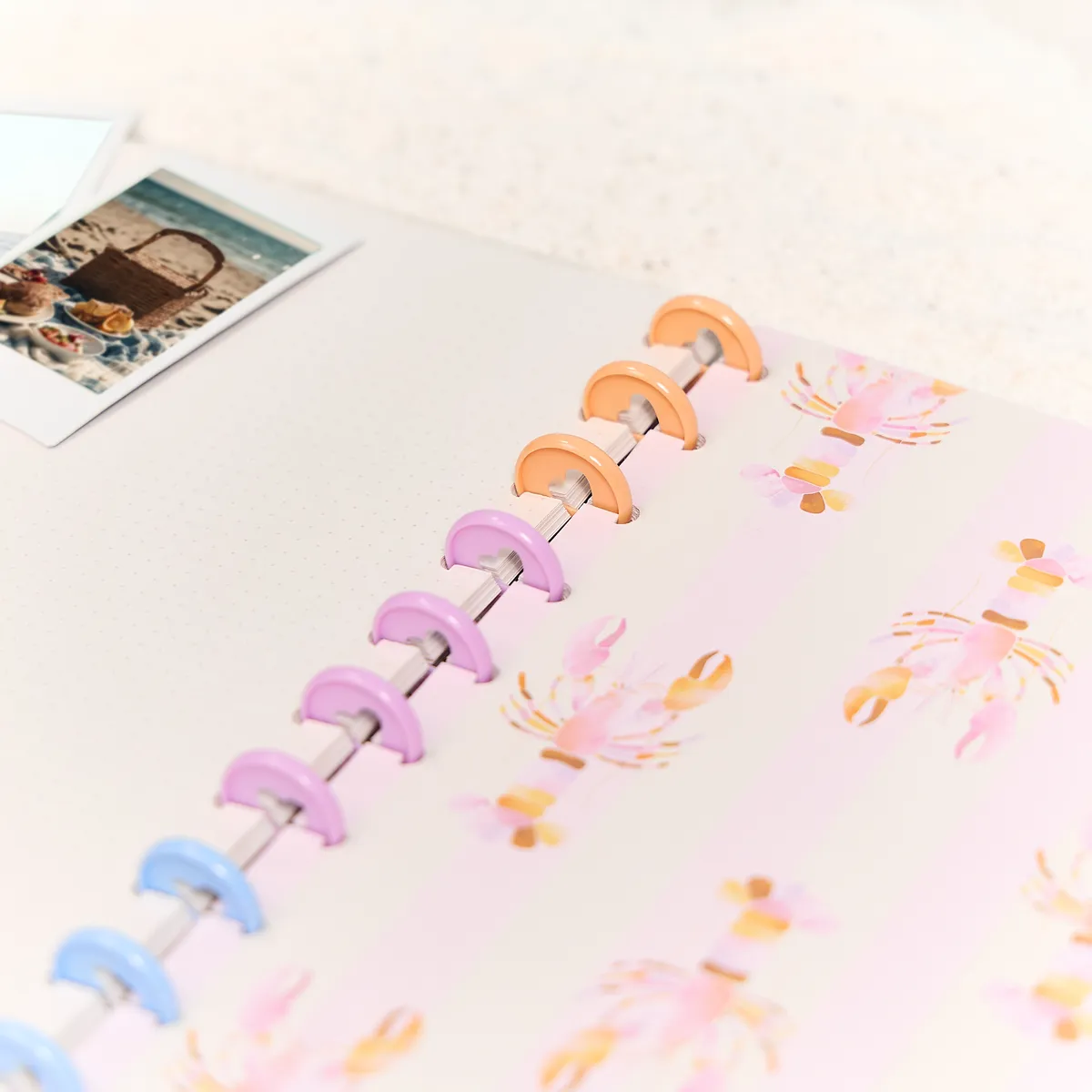 Happy Notes Shell Yeah carnet pointillé Big 60 feuilles