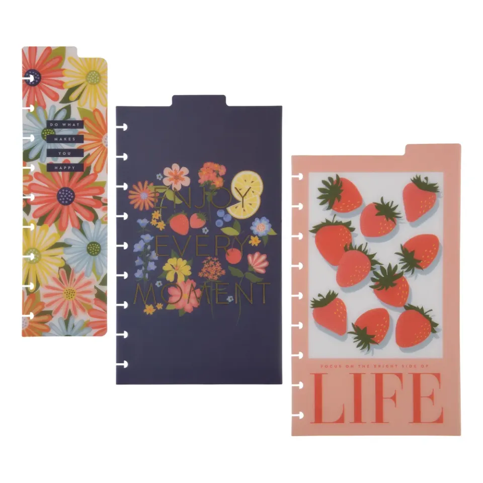 Happy Planner Spring Market Classic intercalaires à anneaux lot de 3 fruits