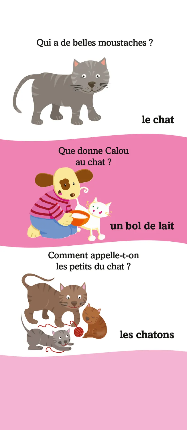Les Incollables 280 quiz TPS à PS éventail 2-3 ans