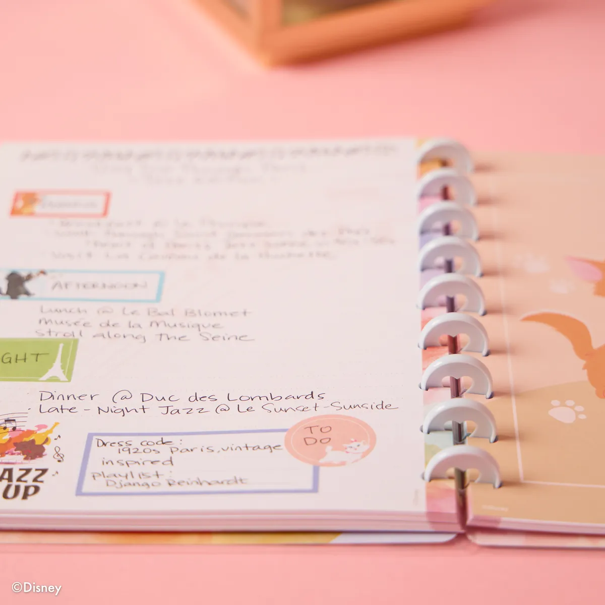 Happy Planner Aristochats carnet Classic pointillé 60 feuilles